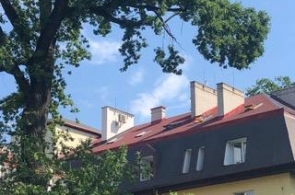 Widok na wyremontowany dach budynku z czerwonym pokryciem oraz kilkoma kominami i oknami dachowymi. Na pierwszym planie widoczne są drzewa, a w tle bezchmurne niebo.