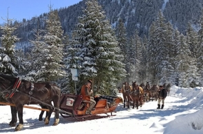 img-20200305-wa0019