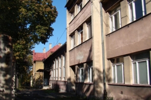 obraz5