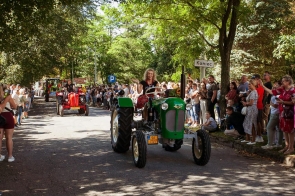 Zabytkowe ciągniki jadą w dożynkowym korowodzie alejką wśród drzew. Na pierwszym planie kobieta prowadzi zielony traktor, a za nią widoczne są kolejne pojazdy.