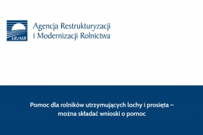 Pomoc dla rolników utrzymujących lochy i prosięta – można składać wnioski o pomoc