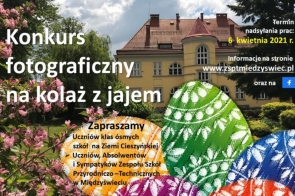 kolaz-z-jajem-konkurs-fotograficzny
