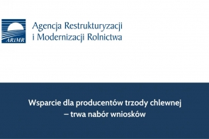 Wsparcie dla producentów trzody chlewnej – trwa nabór wniosków