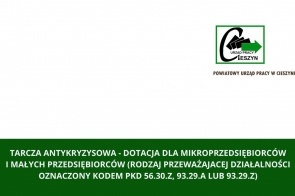 tarcza-antykryzysowa-dotacja-dla-mikroprzedsiebiorcow-i-malych-przedsiebiorcow-rodzaj-przewazajacej-dzialalnosci-oznaczony-kodem-pkd-56