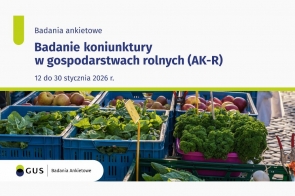Tekst informujący o badaniu ankietowym prowadzonym od 12 do 30 stycznia 2026 roku, umieszczony nad zdjęciem skrzynek z warzywami i owocami na targowym stoisku; w dolnej części widoczne logo Głównego Urzędu Statystycznego oraz napis „Badania Ankietowe”.