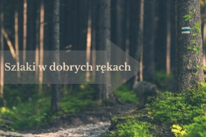 Grafika przedstawia gęsty las z wysokimi drzewami i widocznym biało-niebieskim oznaczeniem szlaku na pniu drzewa znajdującego się po prawej stronie zdjęcia. Przez obraz przebiega półprzezroczysta strzałka z napisem „Szlaki w dobrych rękach”.