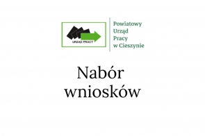 Na górze logo Powiatowego Urzędu Pracy w Ciesznie, poniżej czarny napis na białym tle: "Nabór wniosków".