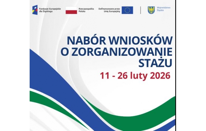 Na jasnym tle widoczny jest napis „Nabór wniosków o zorganizowanie stażu” oraz termin. U góry znajdują się logotypy Funduszy Europejskich, Polski, Unii Europejskiej i Województwa Śląskiego.