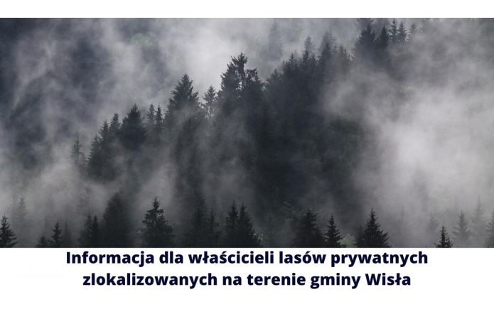 informacja-dla-wlascicieli-lasow-prywatnych-zlokalizowanych-na-terenie-gminy-wisla