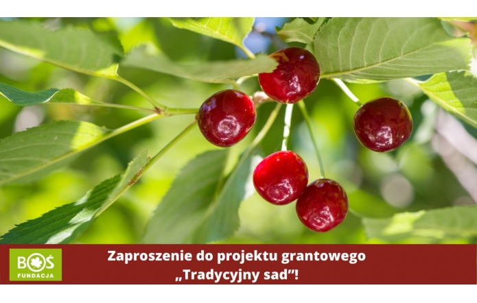 zaproszenie-do-projektu-grantowego-tradycyjny-sad-1