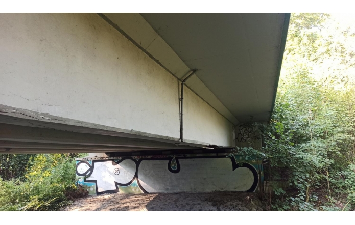 Na zdjęciu widać most z widokiem od dołu. Konstrukcja mostu składa się z dużych, betonowych elementów. Na ścianach mostu widoczne są różne rysunki i graffiti. Wokół mostu rosną krzewy i drzewa, tworząc zarośla. W tle widać trochę światła słonecznego, które oświetla roślinność.