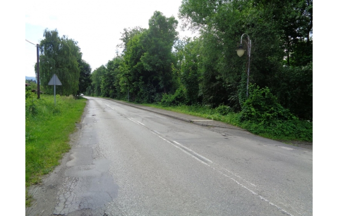 Asfaltowa, lokalna droga biegnąca przez zalesiony teren, z wyraźnymi spękaniami i ubytkami nawierzchni. Po lewej stronie znak drogowy, po prawej stara latarnia uliczna, zarośnięta roślinnością. Widoczna perspektywa w głąb drogi.