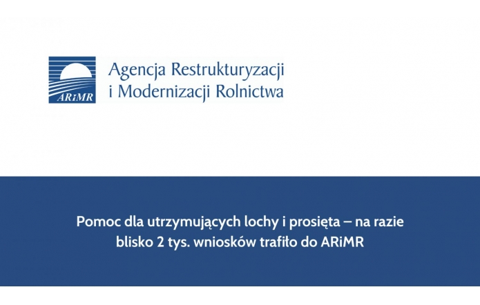 Pomoc dla utrzymujących lochy i prosięta – na razie blisko 2 tys. wniosków trafiło do ARiMR