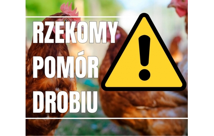 Grafika ostrzegająca przed rzekomym pomorem drobiu. Zawiera zdjęcie kur oraz trójkątny znak w kolorze żółtym z czarnym wykrzyknikiem.