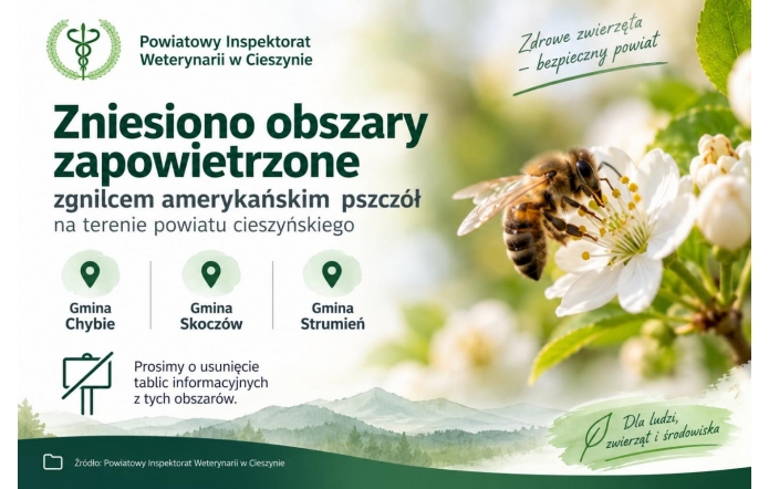 Grafika informacyjna Powiatowego Inspektoratu Weterynarii w Cieszynie. Komunikat o zniesieniu obszarów zapowietrzonych zgnilcem amerykańskim pszczół na terenie powiatu cieszyńskiego. Zmiana dotyczy gmin Chybie, Skoczów i Strumień. Na grafice widoczna pszczoła na białym kwiecie oraz informacja o usunięciu tablic związanych z obszarami zapowietrzonymi.