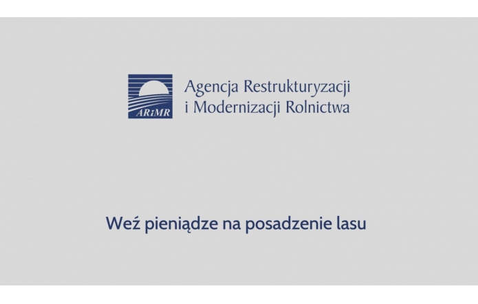 wez-pieniadze-na-posadzenie-lasu