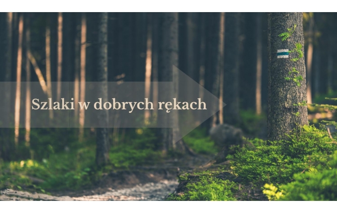 Grafika przedstawia gęsty las z wysokimi drzewami i widocznym biało-niebieskim oznaczeniem szlaku na pniu drzewa znajdującego się po prawej stronie zdjęcia. Przez obraz przebiega półprzezroczysta strzałka z napisem „Szlaki w dobrych rękach”.