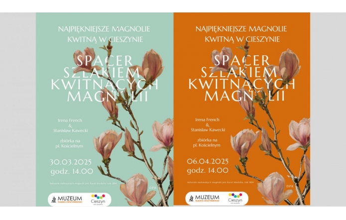 Dwa plakaty zapowiadają wydarzenie „Spacer szlakiem kwitnących magnolii” w Cieszynie. Spacer poprowadzą Irena French i Stanisław Kawecki. Terminy: 30 marca i 6 kwietnia 2025, godz. 14:00, zbiórka na pl. Kościelnym. Tło plakatu zdobią malowane magnolie.